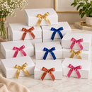 Caixa de Presente Ferrazi 25x20x8cm com Fita de Cetim - Kit 10 Caixas
