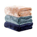 Cobertor Casal Microfibra Super Macia Antialérgica Ferrazi