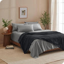 Cobertor Casal Microfibra Super Macia Antialérgica Ferrazi