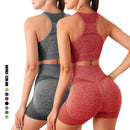 Conjunto Esportivo Feminino Top e Short sem Costura Ferrazi