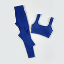 Conjunto de Treino Top e Legging Feminino sem Costura Ferrazi