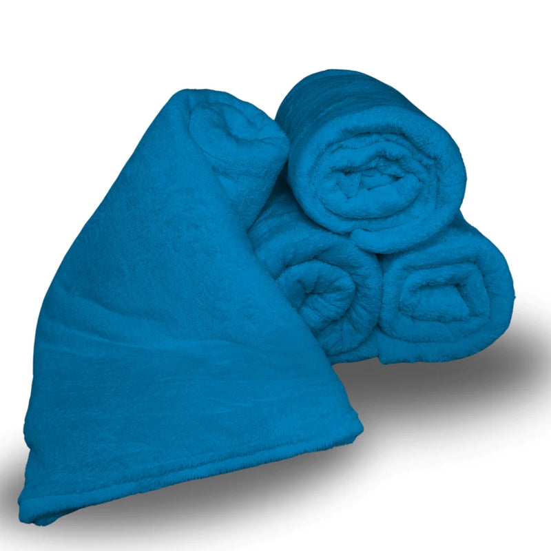 Manta Soft Microfibra Antialérgica para Inverno Ferrazi