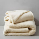 Manta Soft Microfibra Antialérgica para Inverno Ferrazi