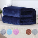 Manta Soft Microfibra Antialérgica para Inverno Ferrazi