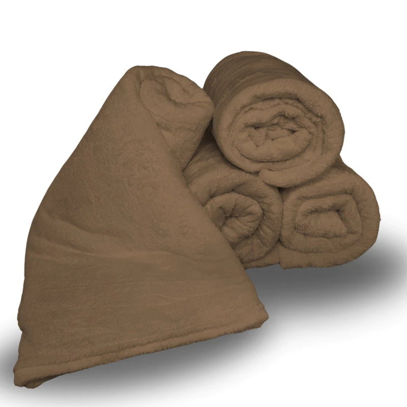 Manta Soft Microfibra Antialérgica para Inverno Ferrazi