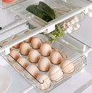 Organizador Armazenamento para Geladeira - FrostyBin