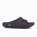 Sandália Unissex Clássica Antiderrapante Ferrazi