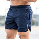 Short Masculino Esportivo DryFit Ferrazi