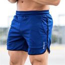 Short Masculino Esportivo DryFit Ferrazi