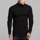 Suéter Masculino de Lã em Tricô Canelado com Gola Alta Ferrazi