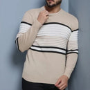 Suéter Masculino de Tricô com Gola Redonda e Manga Longa em Lã Ferrazi