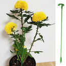 Suporte Inteligente Adaptável para Plantas - PlantFlex