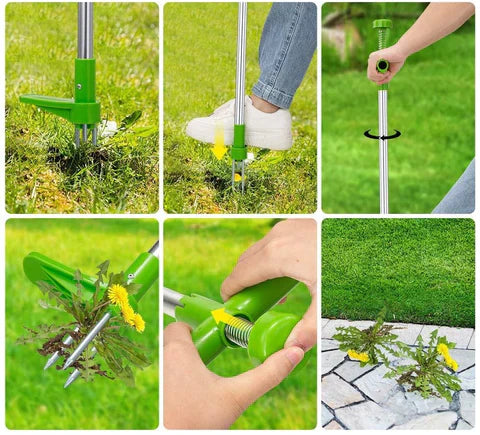 Removedor Extrator de Erva Daninha | Jardim Lindo e Limpo em Segundos